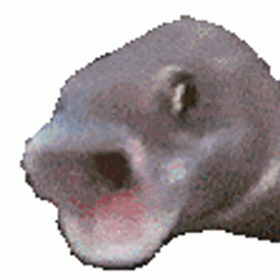 Poggie Poo Pack logo