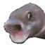 Poggie Poo Pack logo