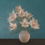 Serruria Florida in vase logo