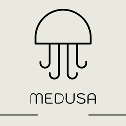 MedusaChatHistory project image