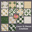 Green with Brown Linoleum Tiles logo