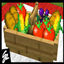 The Food adventure logo
