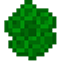 Chlorophyll logo
