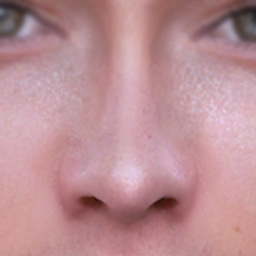 MALE NOSE PRESET 7-11 project image