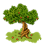Appel's Pack logo