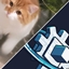 Create : Pыжиk Edition logo