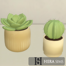 Artifical cactus set