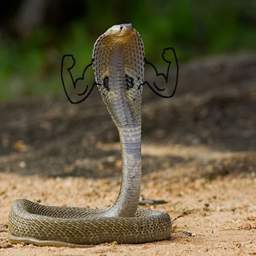 funny snake project image