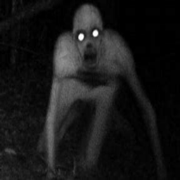 The Horrors Elsewhere
