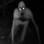 The Horrors Elsewhere logo