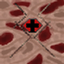 Fungal Infection: Spore More logo