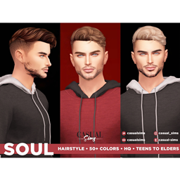Casual Sims -  Soul Hairstyle