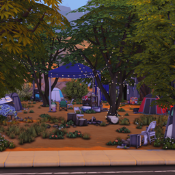 Camp LiS (NO CC) project image