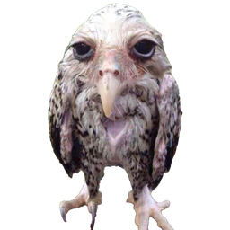 The Sopping Pack project image