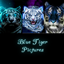 Blue Tiger Pictures logo