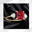 Garnet Ring logo