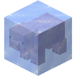 More Aspects logo