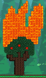Bad map