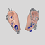 ★ DARCY PIERCINGS ! logo