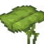 Dripleaf Heaven logo
