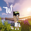 WonderIsland logo