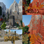 Dwarven Realm logo