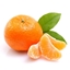Tangerines logo