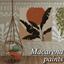 Macarena paints logo