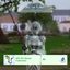 NPC Fisherman Career