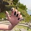 Black Nail Polish (Includes Zoe and Lily's colors)