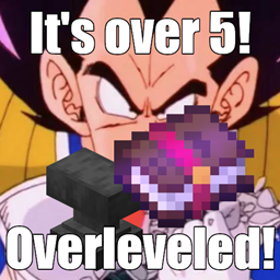 Overleveled project image
