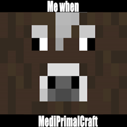 MediPrimalCraft project image