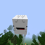 A Resource Pack That Changes Literally Nothing But The Ghast logo