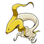 DSAC Pack logo