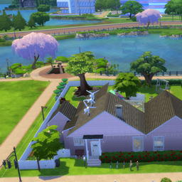 Big family house with Maxis Rooms project image