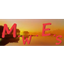 MWES Wit Extra Steps logo