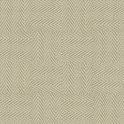 Old Carpet V20