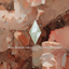 Peach loading screen logo