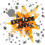 ExplodeAny (Eany) logo