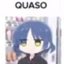 quaso logo