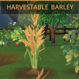 ✨ Farmable Barley by icemunmun Spanish translation -ES ✨