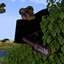 Wolf's Ninja Pack logo