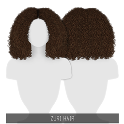 Simpliciaty's Zuri Hair