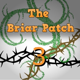 Briar Patch 3