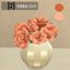 Cauliflower in vase logo