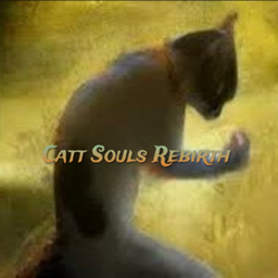 Catt Souls Rebirth project image