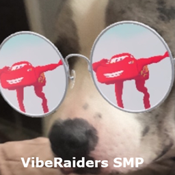 VibeRaiders SMP project image