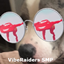 VibeRaiders SMP logo