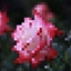 Fae, Flowers, and Other Fancies logo