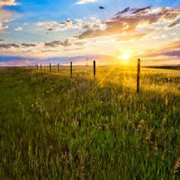 Prairie Life project image